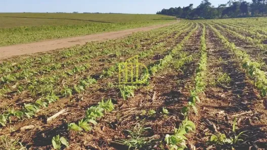 Fazenda/Sítio à venda, 10m² no Vila Nastri, Itapetininga