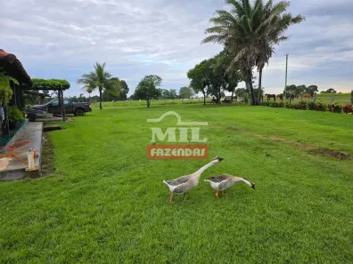 Fazenda/Sítio à venda, 500m² no , Mundo Novo