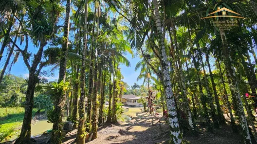 Fazenda/Sítio com 4 Quartos à venda, 256m² no Morretes, Morretes