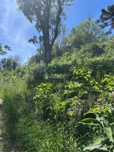 Lote/Terreno à venda, 430m² no , Nova Petrópolis