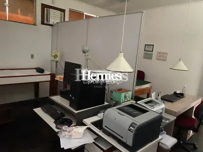 Imóvel Comercial com 1 Quarto para alugar, 381m² no Cambuí, Campinas