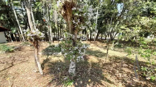 Lote/Terreno à venda, 3000m² no Portal do Éden, Itu