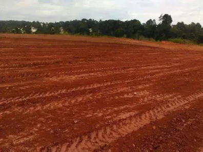 Lote/Terreno à venda, 8000m² no Chácara Ondas Verdes, Cotia
