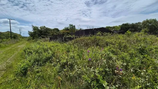 Lote/Terreno à venda, 290m² no Gaivota (Interior), Itanhaém