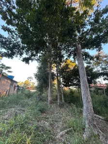 Lote/Terreno à venda, 208m² no Arraial D'Ajuda, Porto Seguro