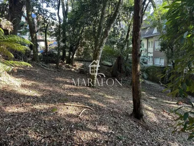 Lote/Terreno à venda, 620m² no Floresta, Gramado