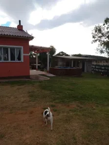 Fazenda/Sítio com 2 Quartos à venda, 195m² no , Morro Redondo