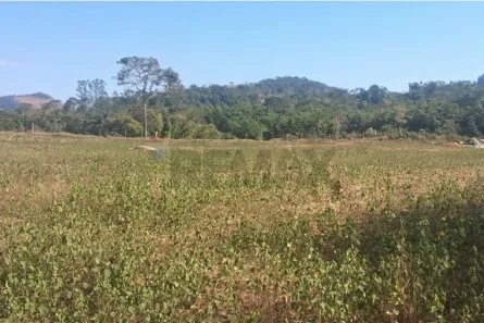 Fazenda/Sítio com 1 Quarto à venda, 48000m² no , Mercês
