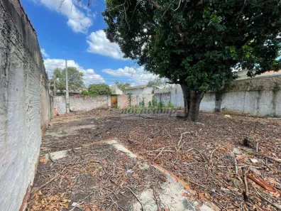 Lote/Terreno para alugar, 300m² no Jardim Bela Vista, Campinas