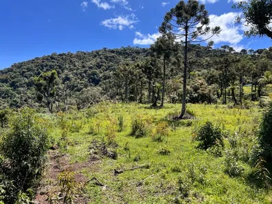 Fazenda/Sítio com 1 Quarto à venda, 20000m² no , Urubici