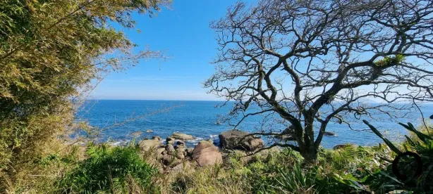 Lote/Terreno à venda, 15757m² no São Pedro (Cambaquara), Ilhabela