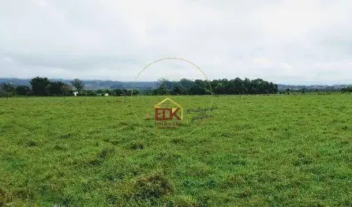 Lote/Terreno à venda, 20000m² no Cruz Pequena, Pindamonhangaba