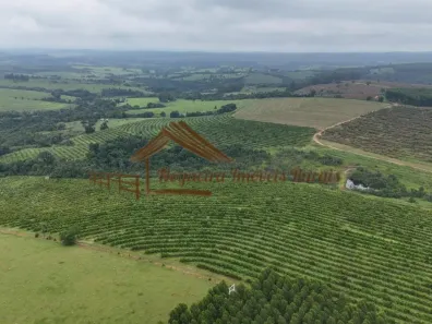 Fazenda/Sítio à venda, 1m² no Área Rural de Anhembi, Anhembi