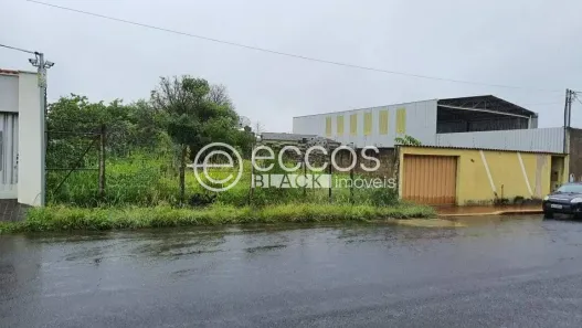 Lote/Terreno à venda, 360m² no Segismundo Pereira, Uberlândia
