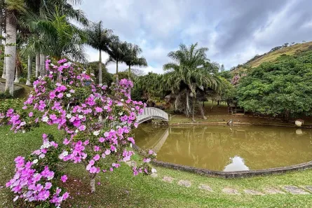 Fazenda/Sítio com 3 Quartos à venda, 6721m² no Pedra Bonita, Juiz de Fora