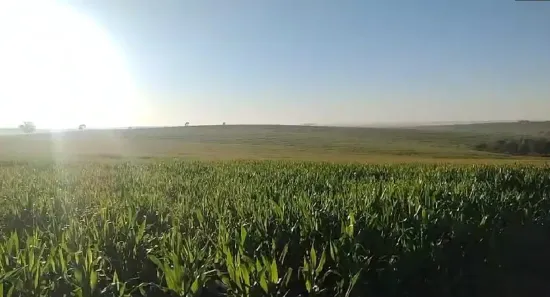 Fazenda/Sítio à venda, 1452000m² no , Cafezal do Sul