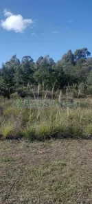 Lote/Terreno à venda, 8885m² no Industrial, Farroupilha
