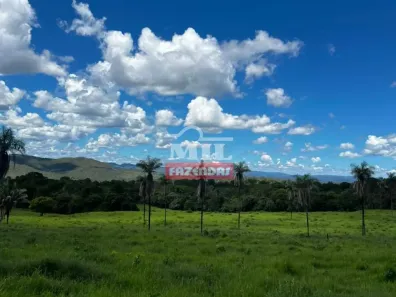 Fazenda/Sítio à venda, 500m² no , Minaçu