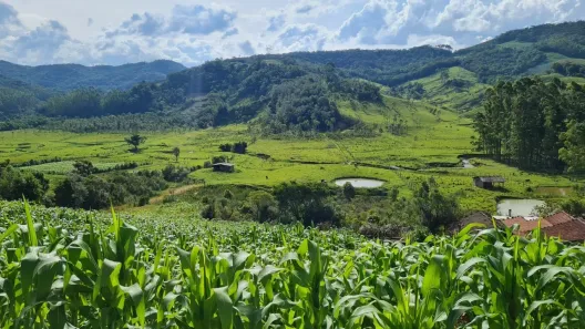 Fazenda/Sítio à venda, 20000m² no , Águas Mornas
