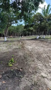 Lote/Terreno à venda, 300m² no Centro, Igarassu