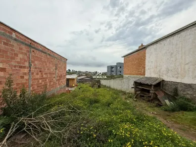 Lote/Terreno à venda, 344m² no São Marcos, São José dos Pinhais