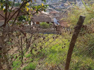 Lote/Terreno à venda, 391m² no Quintas das Avenidas, Juiz de Fora
