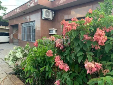 Casa com 3 Quartos à venda, 250m² no Vila Lovato, Campinas