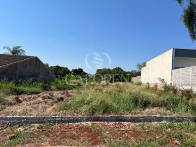 Lote/Terreno à venda, 1170m² no Parque Industrial 200, Maringá