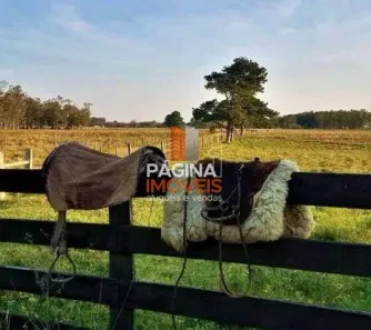 Fazenda/Sítio com 1 Quarto à venda, 920000m² no Capão da Porteira, Viamão