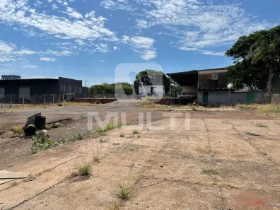 Casa com 1 Quarto para alugar, 4000m² no Distrito Industrial, Uberlândia