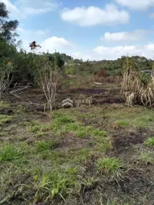 Lote/Terreno à venda, 8211m² no Água Espraiada (Caucaia do Alto), Cotia