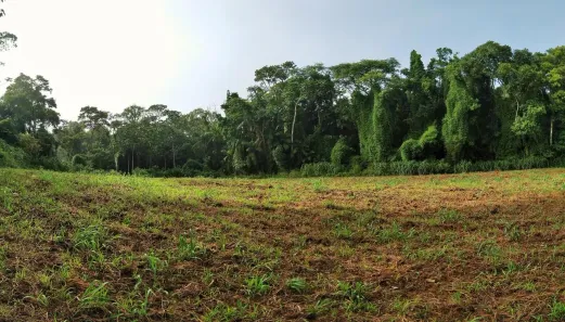 Fazenda/Sítio à venda, 30021m² no Pomerode Fundos, Pomerode