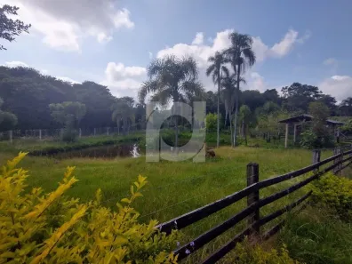 Fazenda/Sítio com 2 Quartos à venda, 132m² no Morro Schneider, São Sebastião do Caí