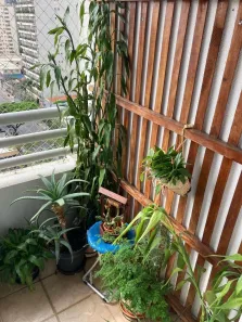 Apartamento com 1 Quarto à venda, 71m² no Planalto Paulista, São Paulo