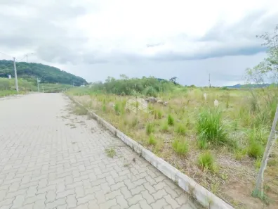 Lote/Terreno à venda, 240m² no Fenavinho, Bento Gonçalves