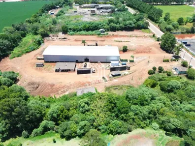 Galpão/Depósito/Armazém à venda, 15193m² no Cará-cará, Ponta Grossa