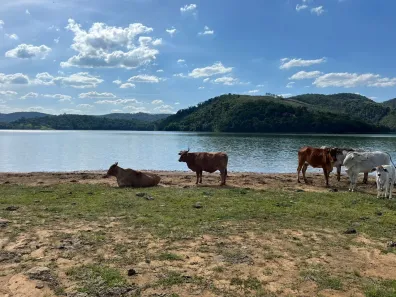 Lote/Terreno à venda, 20000m² no Bairro do Divininho, Nazaré Paulista