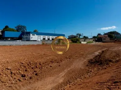 Lote/Terreno para alugar, 7474m² no Dos Casa, São Bernardo do Campo