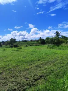 Fazenda/Sítio com 3 Quartos à venda, 3700m² no , Monte Alegre