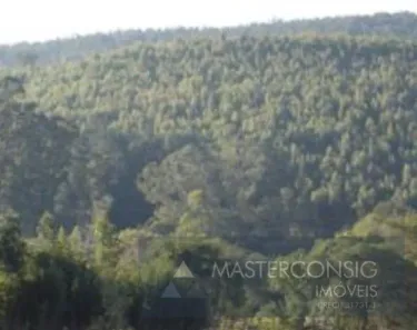 Fazenda/Sítio com 3 Quartos à venda, 454352m² no , Itu