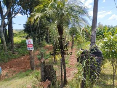 Fazenda/Sítio à venda, 5000m² no , Londrina