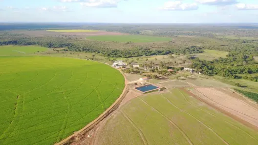 Fazenda/Sítio com 4 Quartos à venda, 12000000m² no Centro, João Pinheiro