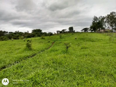 Fazenda/Sítio com 1 Quarto à venda, 1m² no , Anhembi