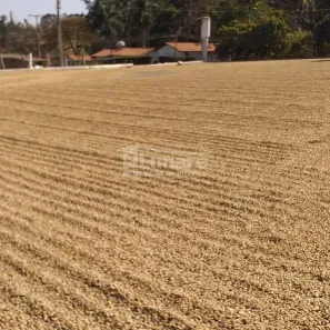 Fazenda/Sítio à venda, 10m² no Centro, São Gotardo