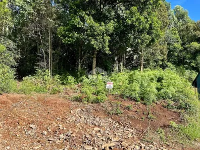 Lote/Terreno à venda, 646m² no , Nova Petrópolis