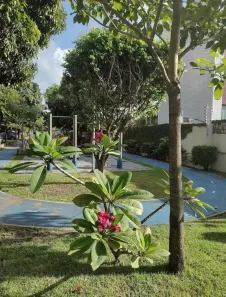 Apartamento com 3 Quartos à venda, 85m² no Tejipió, Recife