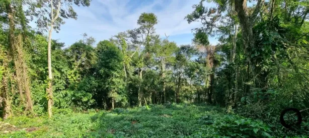 Lote/Terreno à venda, 1472m² no Armação, Ilhabela