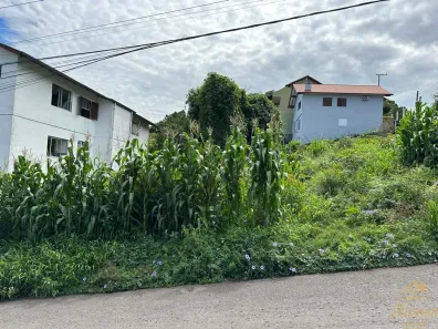 Lote/Terreno à venda, 412m² no Nova Petrópolis, Nova Petrópolis