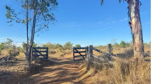Fazenda/Sítio à venda, 1300000m² no Centro, Luziânia