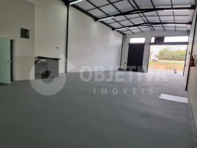 Galpão/Depósito/Armazém para alugar, 250m² no Segismundo Pereira, Uberlândia